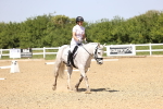 SBM_009136