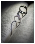 Wedding Portfolio - 05