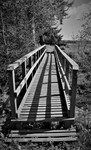 Wood Bridge