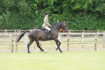 SBM_12935