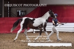 BPP_1619