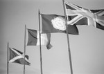Flying the Flags Ilkley Moor in Black & White