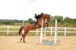 SBM_009916