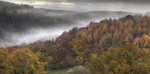 Misty Autumn Morning