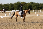 SBM_007035