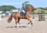 BPP_5567