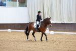 SBM_001185