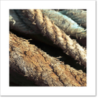 Rope detail II