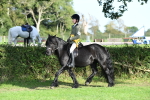 SBM_52104