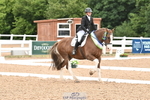 Cls 27-P Freestyle Preliminary Bronze portfolio