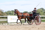 SBM_000918