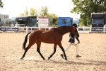 SBM_08150