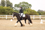 SBM_000295