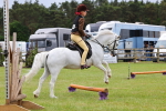 SBM_08725