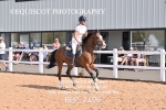 BPP_2196