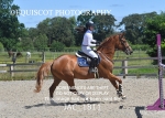 CLASS 5  Senior Newcomers/ 1.10m Open portfolio
