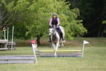 40cm XC portfolio