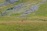 Ingleborough-5