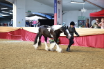 SBM_23041