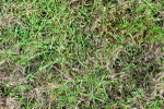 SBM_00121