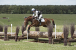 BVHT 140517  IXC -393