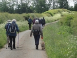 048 Striding out along Lords Lane