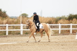 SBM_000600