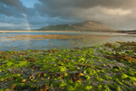 Tullagh Bay (07077533)