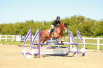 SBM_000933