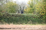 WJ6_7570