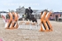 BPP_9429