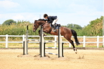 Class 13 - Senior 1.15m Open(Inc National 1.15m Members Cup Qualifier) portfolio