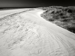 Blakeney Point (02)