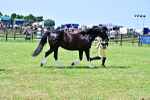 SBM_03905