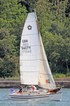 170701 SQUIRREL GBR9407Y RTI_4927