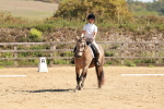 SBM_010614