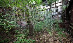 Fort Pitt Casting Co. (McKeesport, PA) | Overgrown Interior Courtyard