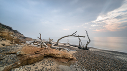 Treemains - Covehithe, Suffolk