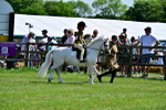 SBM_05768