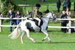 SBM_51940