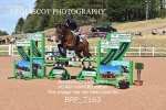 BPP_7163