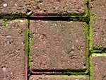 Brighton Set 1 - 46