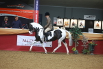 SBM_10565