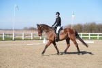 SBM_002280