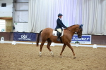 SBM_004231