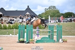 Cls 04 Chard Eq 7 Yr Old Champs portfolio