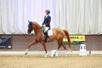 SBM_002728