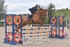 BPP_3734