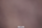 240505A-165616-07216