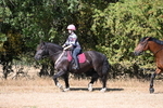 WJ6_7949